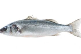 prodotti_branzino_750x0_c_default.jpg