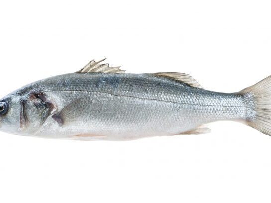 prodotti_branzino_750x0_c_default.jpg