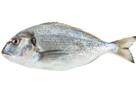 prodotti_orata_750x0_c_default.jpg