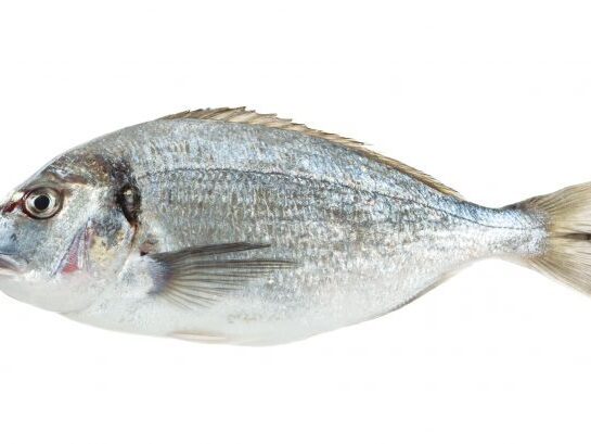 prodotti_orata_750x0_c_default.jpg