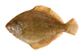 prodotti_rombo_750x0_c_default.jpg