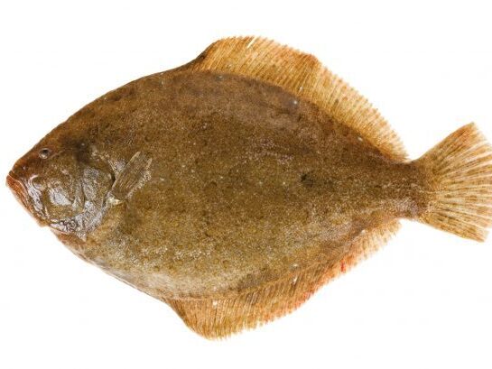 prodotti_rombo_750x0_c_default.jpg