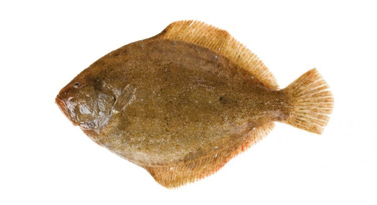 prodotti_rombo_750x0_c_default.jpg prodotti_rombo_750x0_c_default.jpg